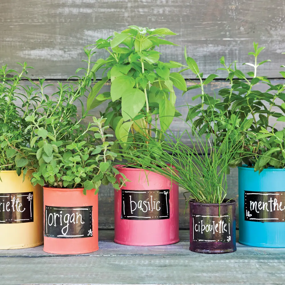 四季之窗 | 打造随季节变化的窗台装饰-6