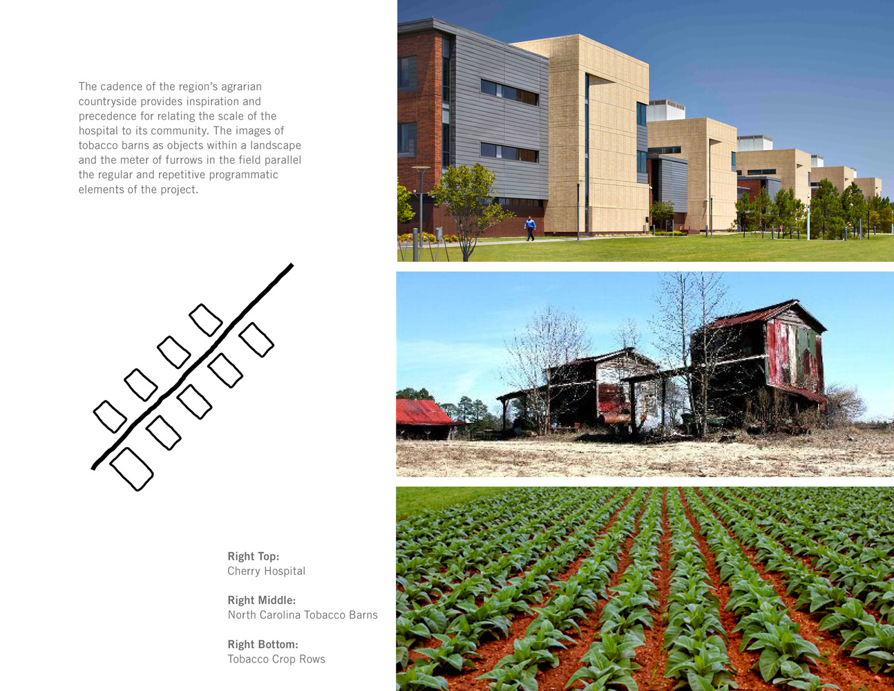 樱桃医院（Cherry Hospital）-45