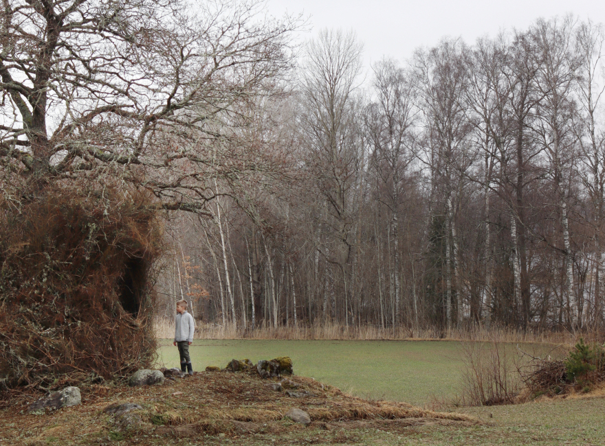 一树四季装置丨瑞典丨Ulf Mejergren + Antti Laitinen-30