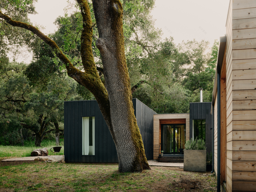 丨美国丨Studio Schicketanz-17