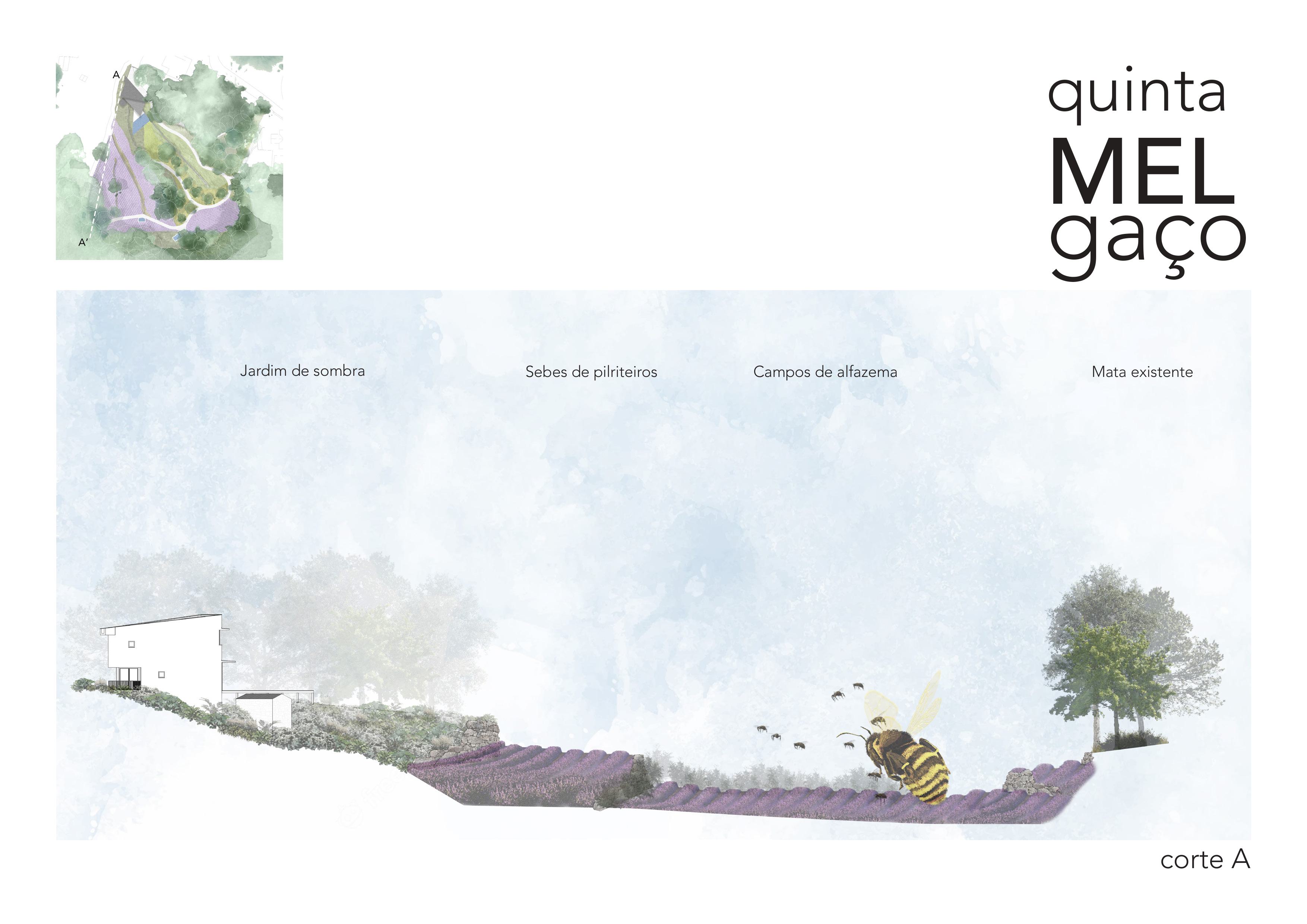Concept design for rural villa in Melgaço, PT-4