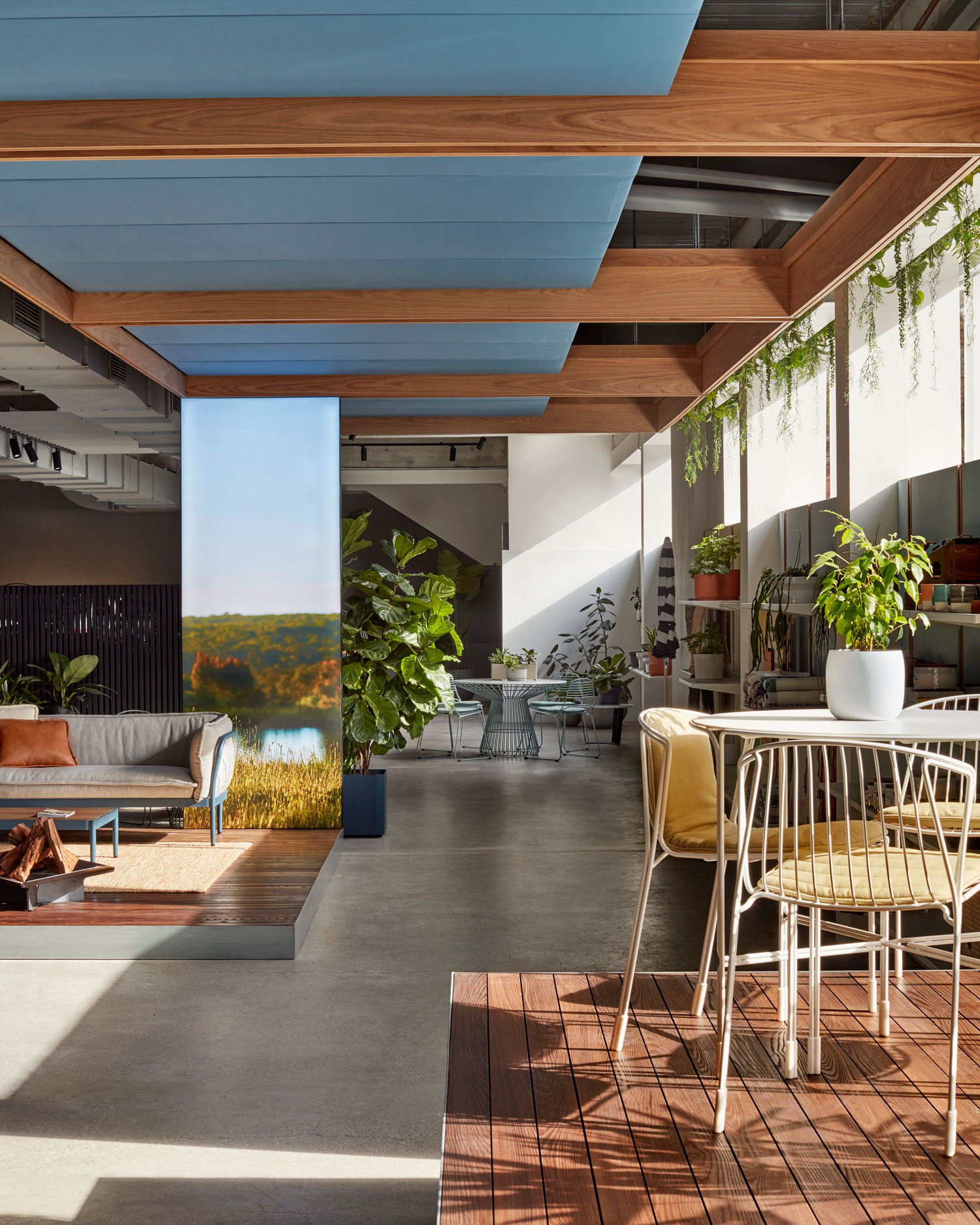 墨尔本 Tait 旗舰店,生活与自然的和谐交融-1