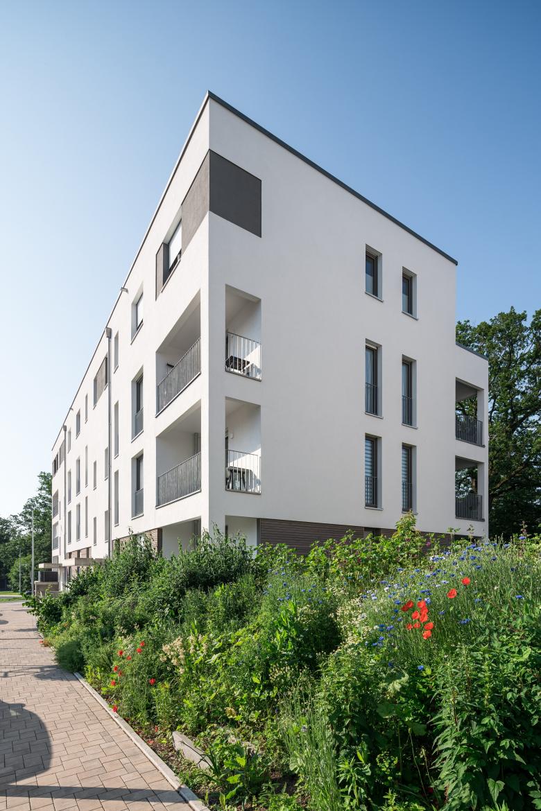 MOW Architekten GmbH丨Ökosiedlung Friedrichsdorf丨德国-10