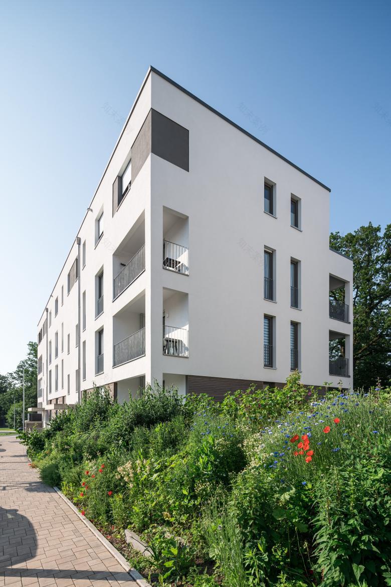 MOW Architekten GmbH丨Ökosiedlung Friedrichsdorf丨德国-10