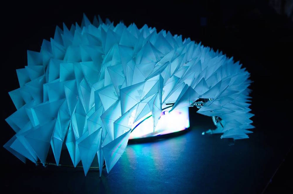 Origami Dragon Circis（折纸龙马戏团）丨俄罗斯莫斯科丨Ksenia Knyazkina-18