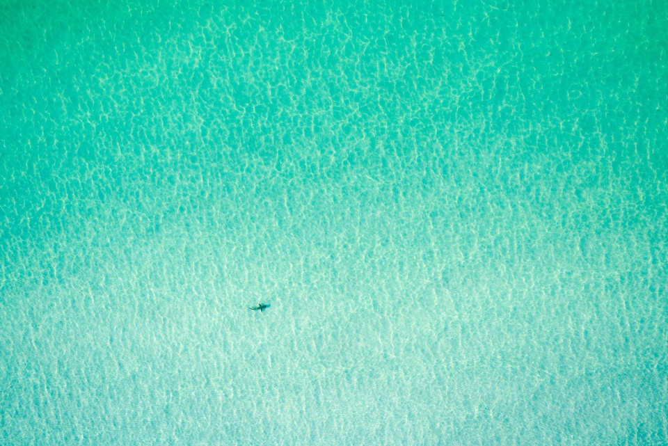 在 1000 英尺处-26