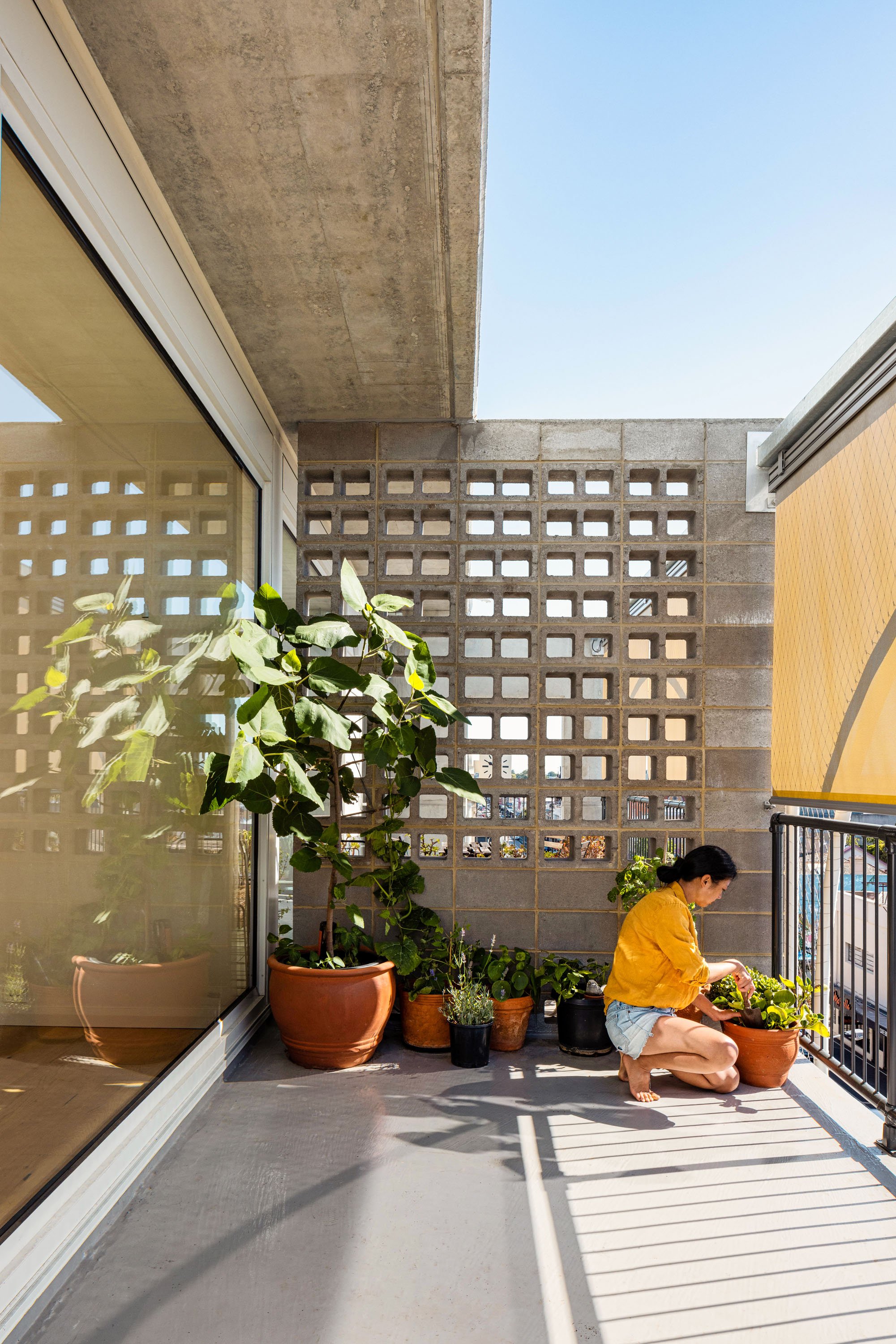 墨尔本 Terrace House丨澳大利亚墨尔本丨Austin Maynard Architects-83