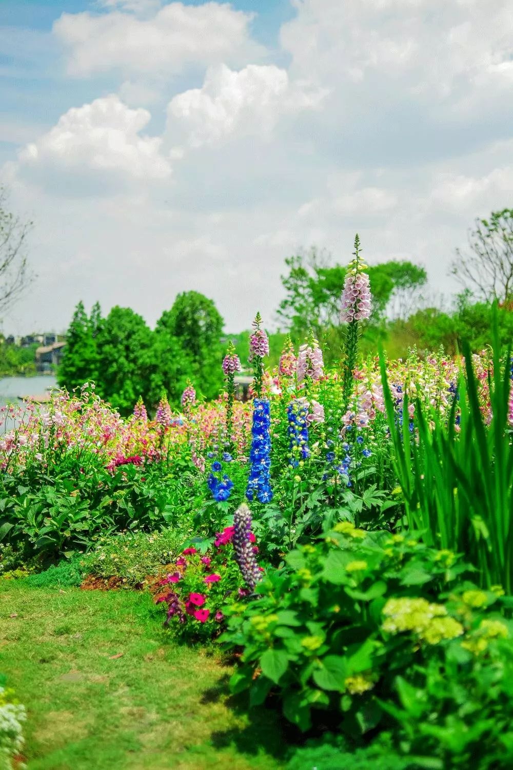 花境植物配置的艺术 | 四季美景尽收眼底-6