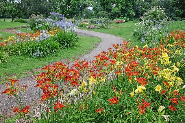 万博記念公園(日本庭園・自然文化園)丨安哥拉万博-65