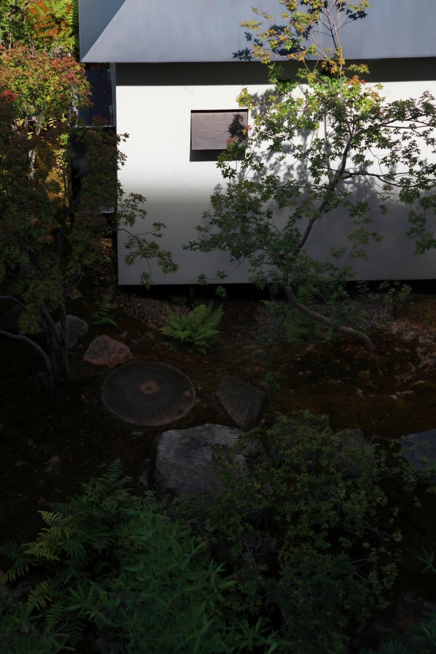 山间茶室 · 疫情下的自由与边界探索丨中国厦门丨「听任」工作室-27