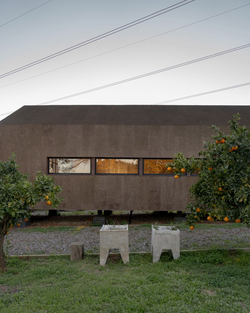 橙园之家丨Lisbonwood,Pedro Marques Alves-29