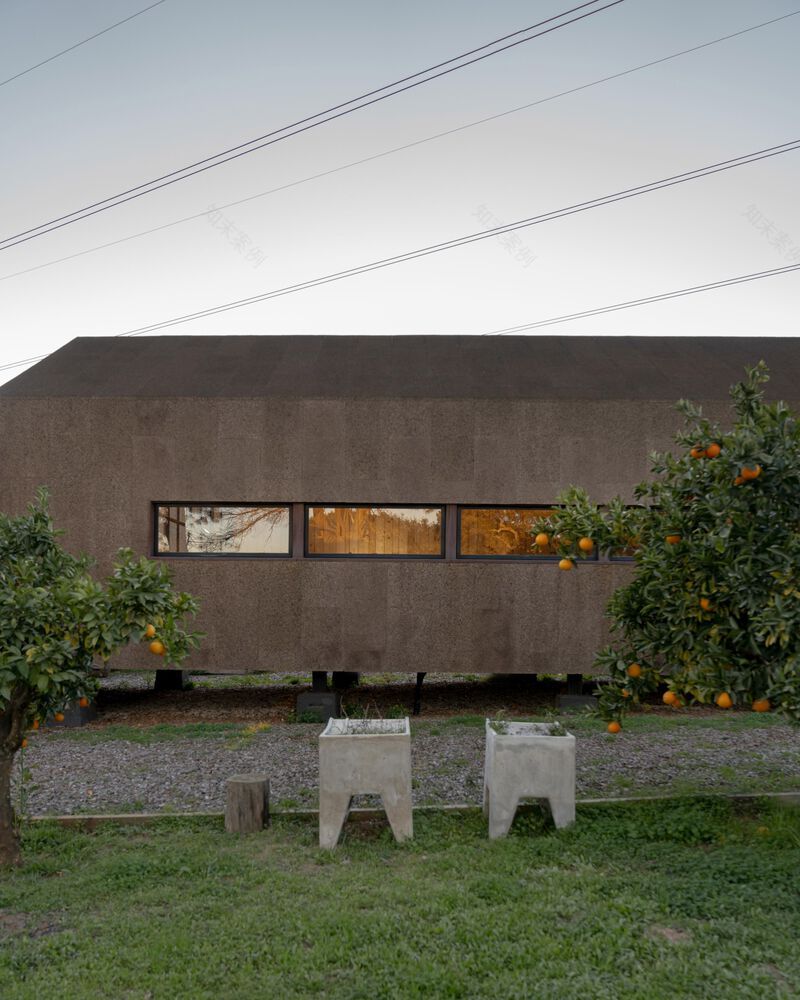 橙园之家丨Lisbonwood,Pedro Marques Alves-29