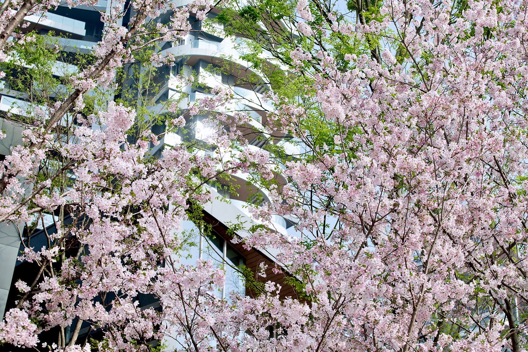 成都麓湖皮划艇航道景观丨中国成都丨纬图设计机构-91