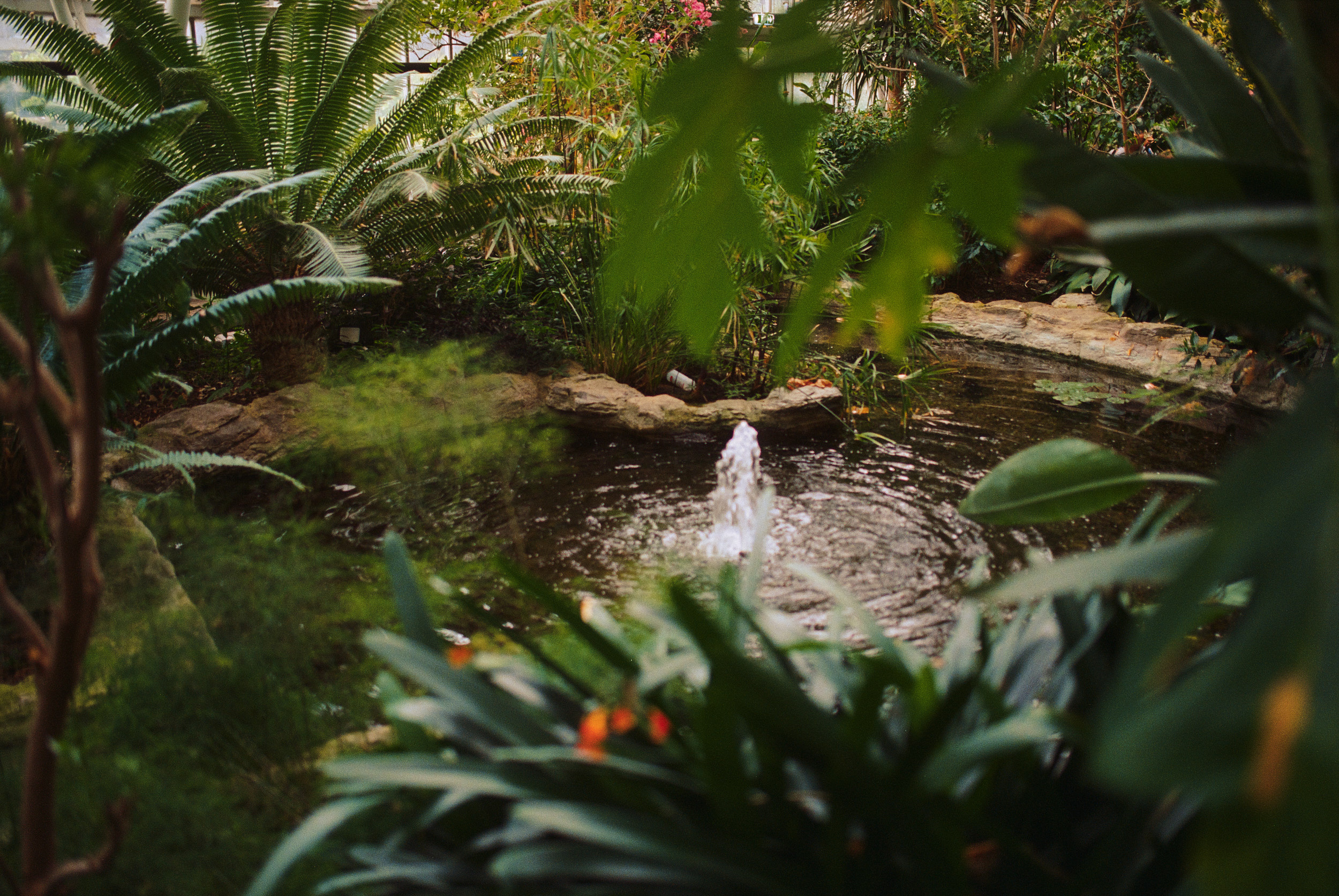 巴比肯温室丨英国伦敦-32