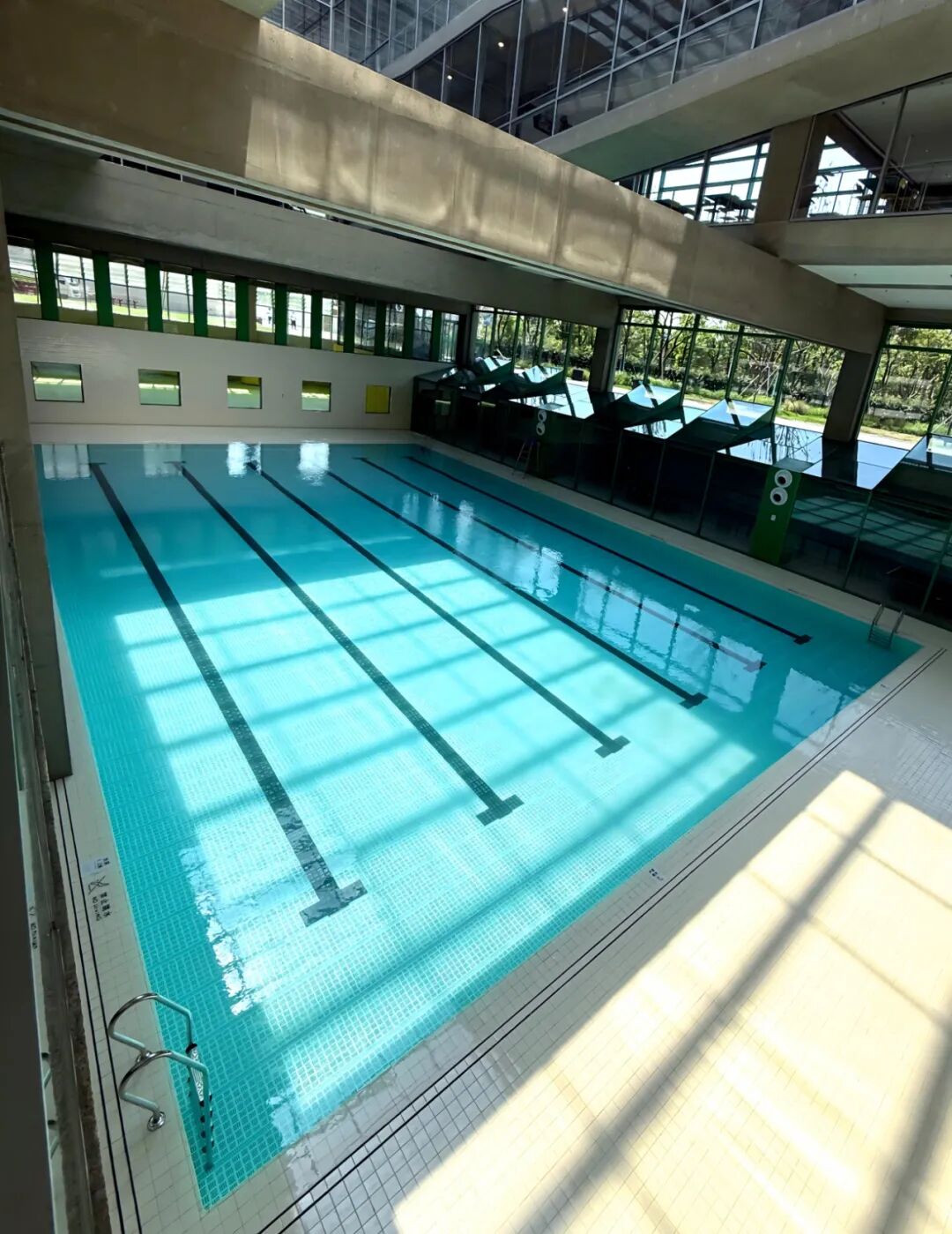 百年职教名校落户崇明！水一方助力国际级恒温泳池建设-13