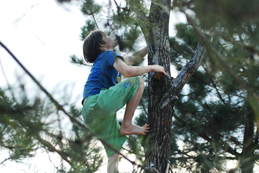 伦敦奥运遗址再生之作 · 儿童乐园的生态与创意设计-7