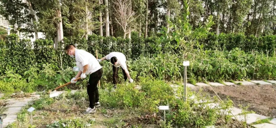 广汽丰田生态园·工业绿色风景线丨普邦设计-103