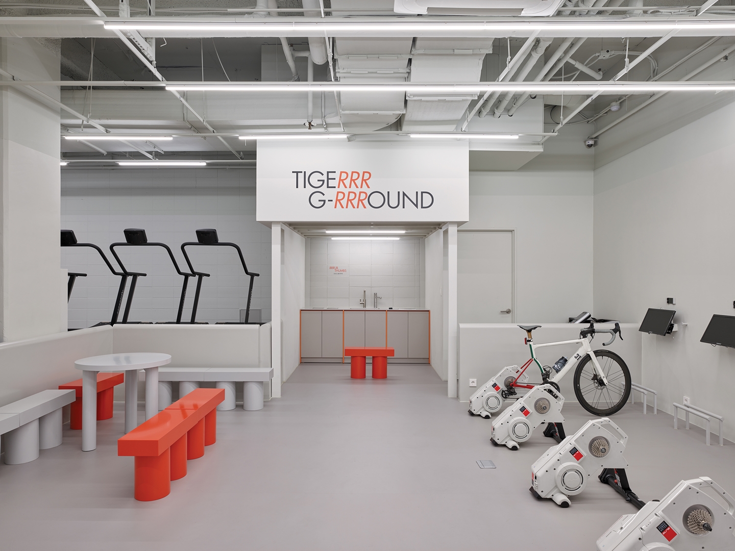 TIGER GROUND Studio Fragment-0