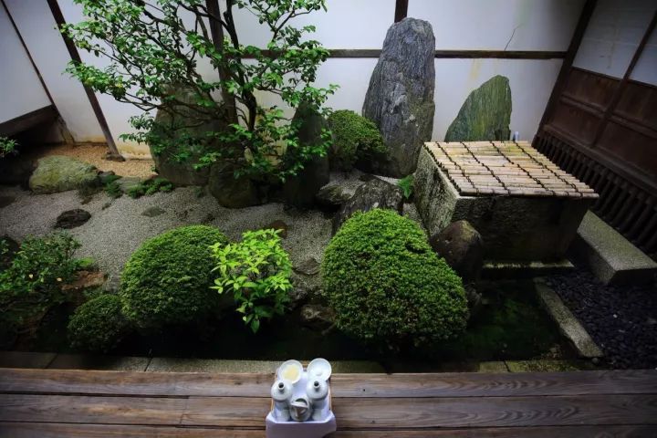 庭院满青苔,极美!-17