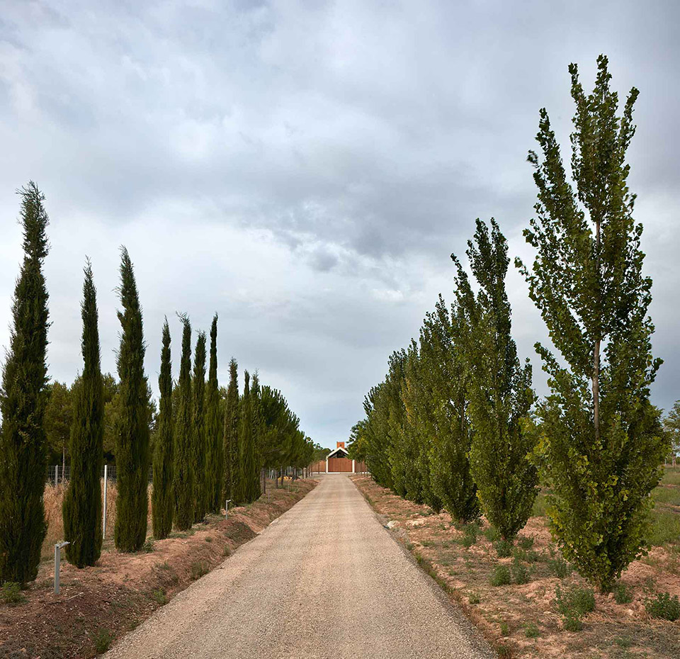 葡萄园小木屋，西班牙 / Ramón Esteve Estudio-18