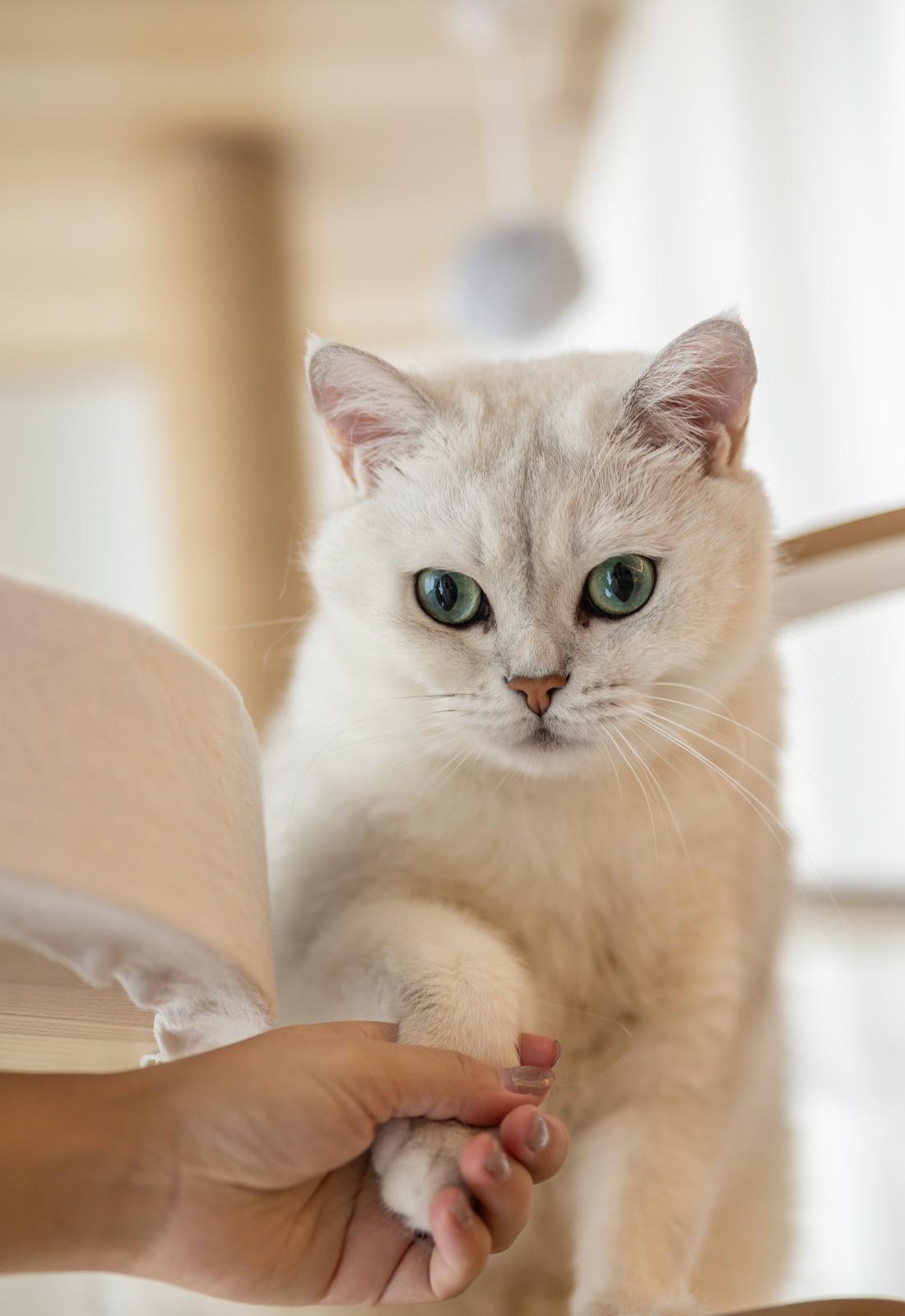 现代简约复式案例-20