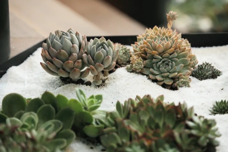 北京大兴大悦春风里景观丨中国北京丨偶木(北京)国际景观-22