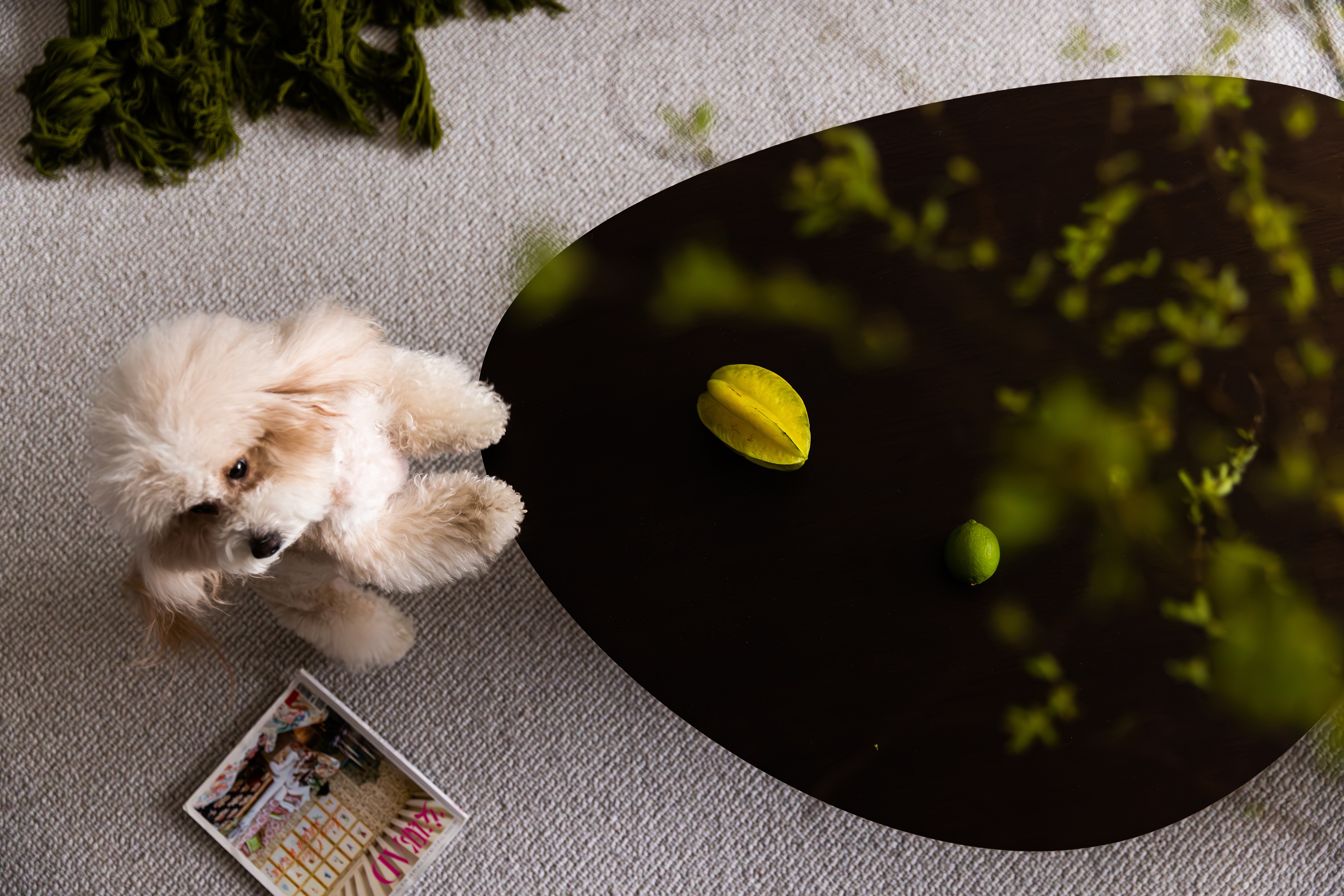 城市玖玺丨上海众合铂纳空间设计-14