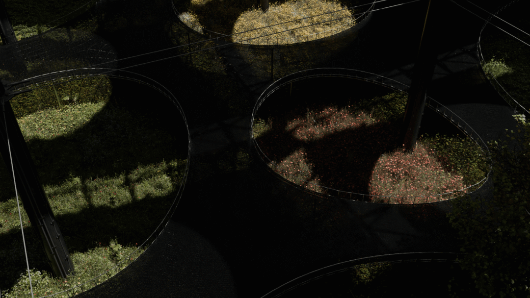 QS蝉联11年全球榜首：皇艺RCA2025建筑毕设展|全球毕设-81