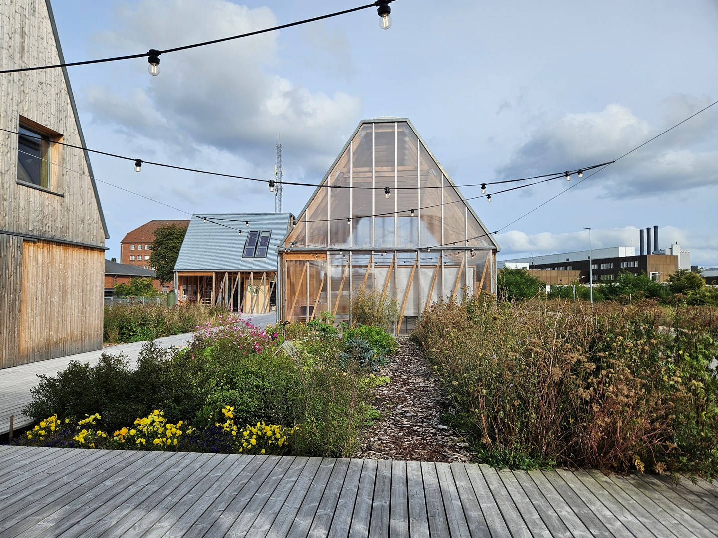 丨丹麦哥本哈根-13