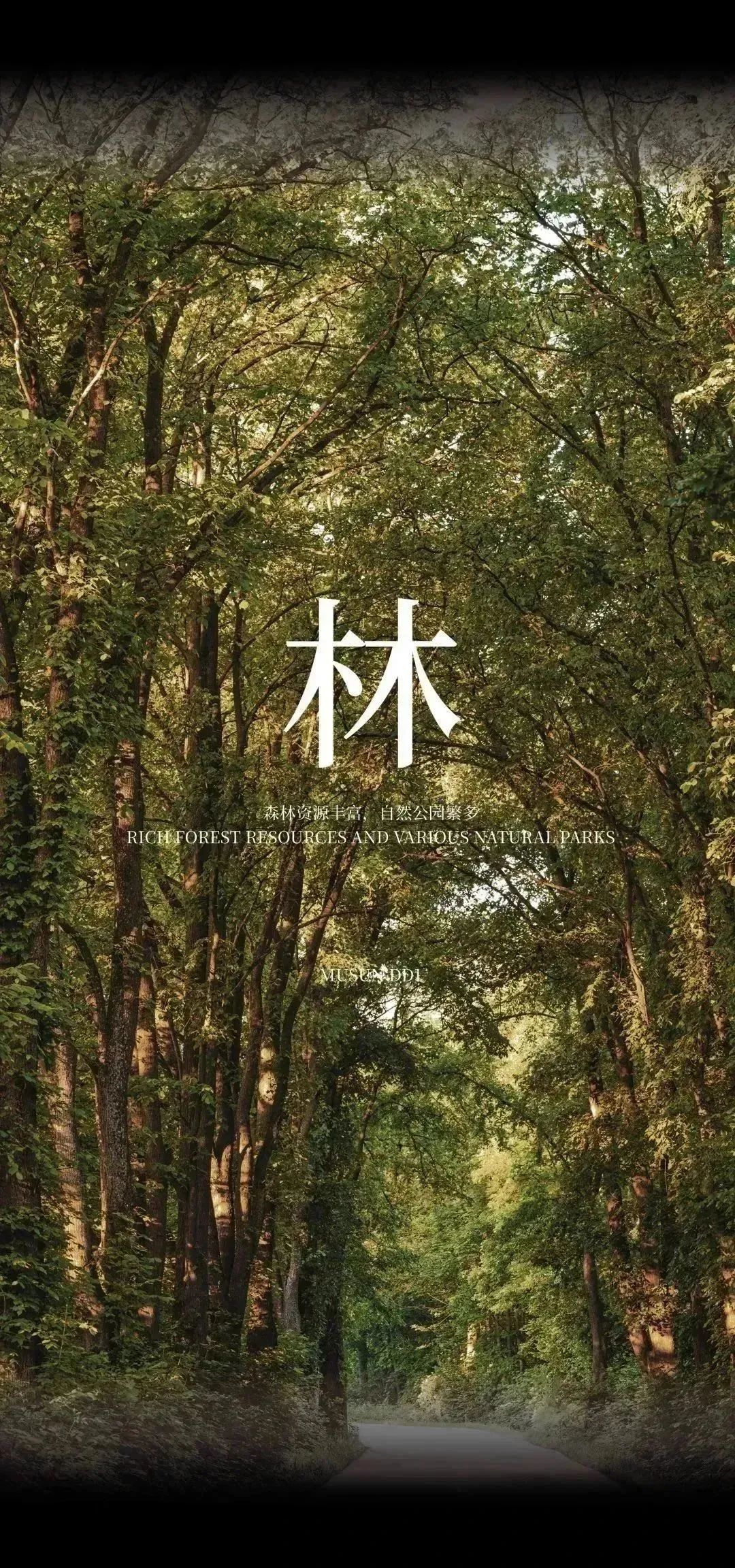 MUSUN·阳光·城市之星丨中国台州-14