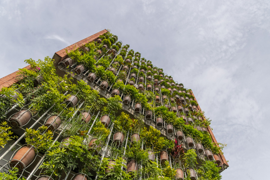飞行植被丨H&P Architects-33