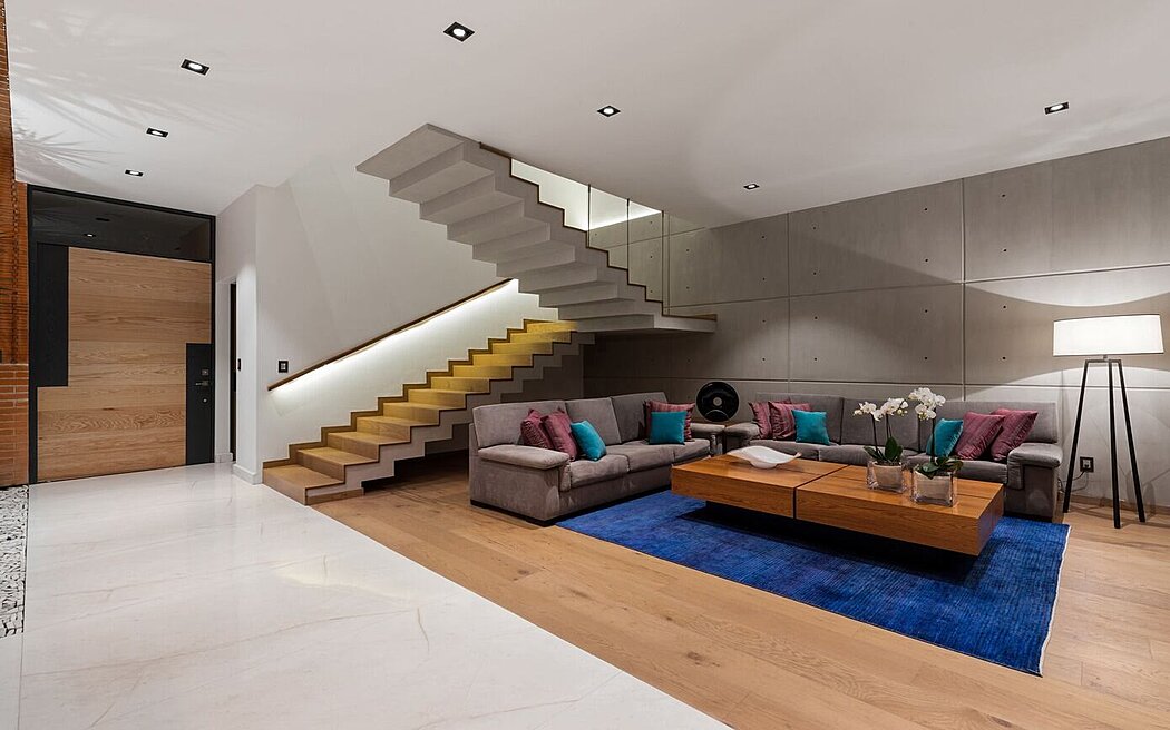 科查瓜宅邸丨墨西哥墨西哥城丨Natalia Menache-1