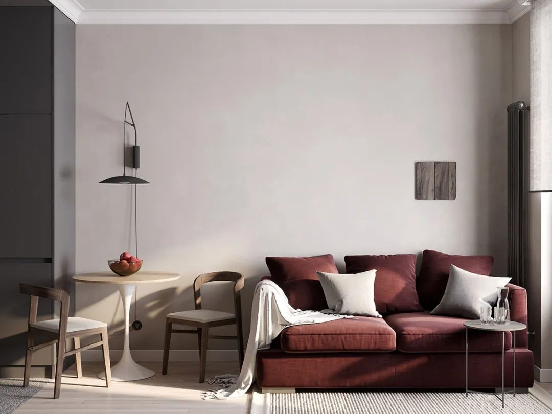 35㎡小公寓设计丨乌克兰敖德萨-6