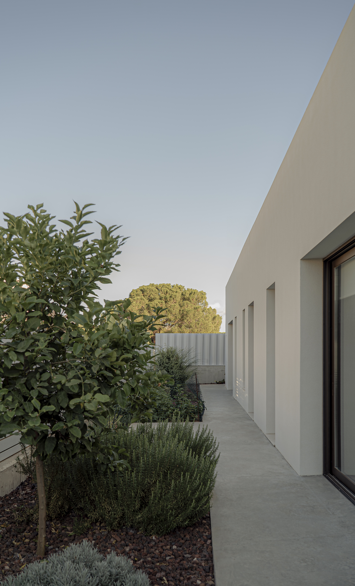 阿尔贾娜丨西班牙丨Chiralt Arquitectos Valencia-20