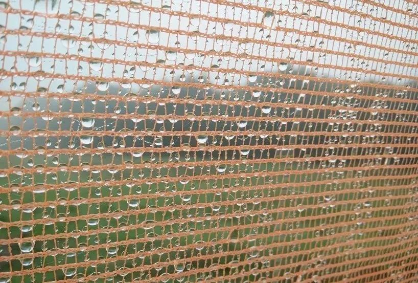 非洲“花篮”供水设计,竹条编织 Warka Water 成取水利器-43