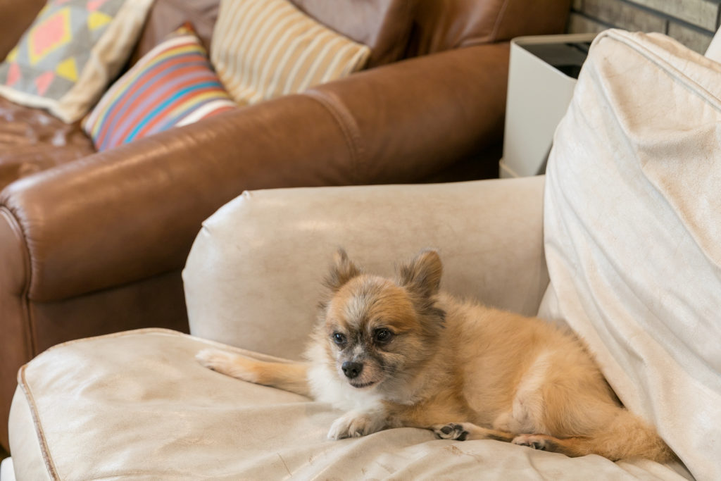 インテリアデザイナーの自邸 サーフィンを中心に考えた 鎌倉のリノベーション住宅 | Renovation | 100%LiFE-10