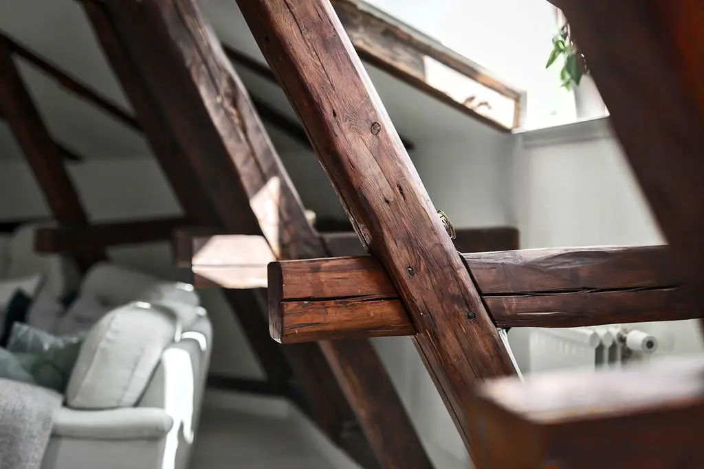 天台公寓的简约魅力-7