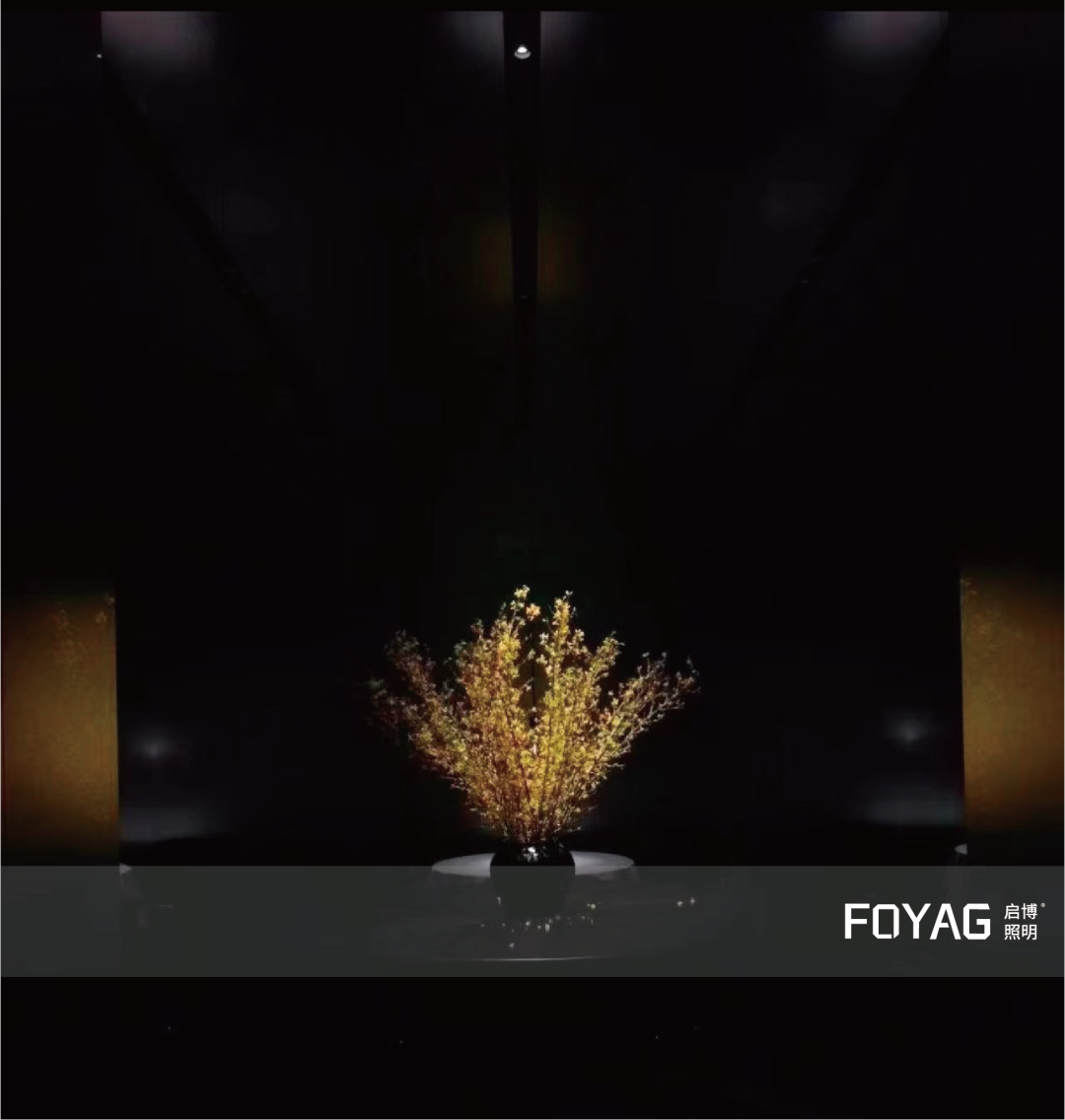 CICADA 宋·湘餐厅灯光设计丨LICHT 香港光事务所-46