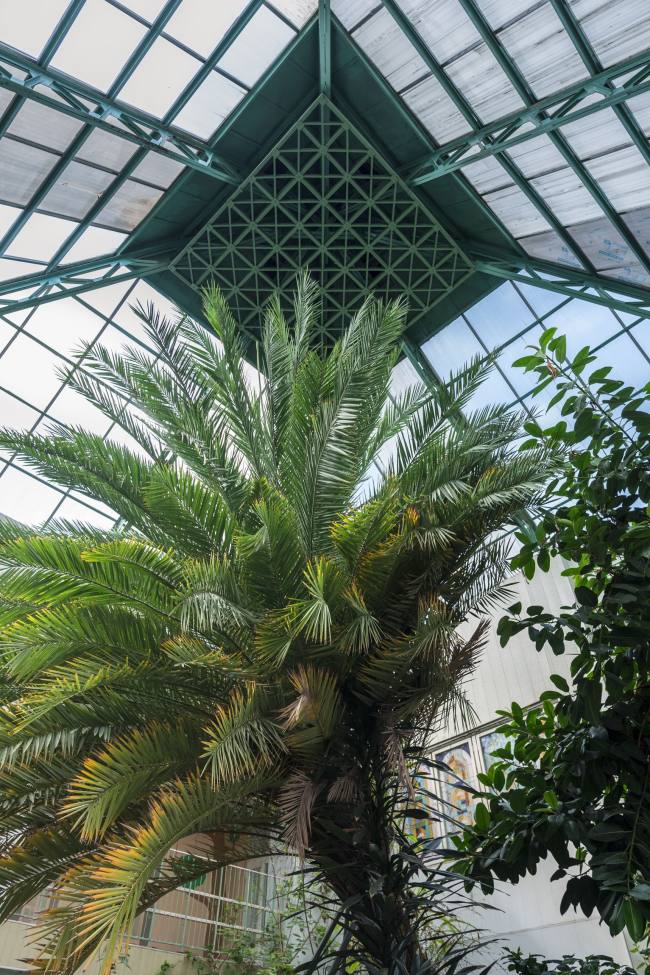 萨哈林岛霍尔姆斯克幼儿园丨“萨哈林城市建设设计局”设计团队-82