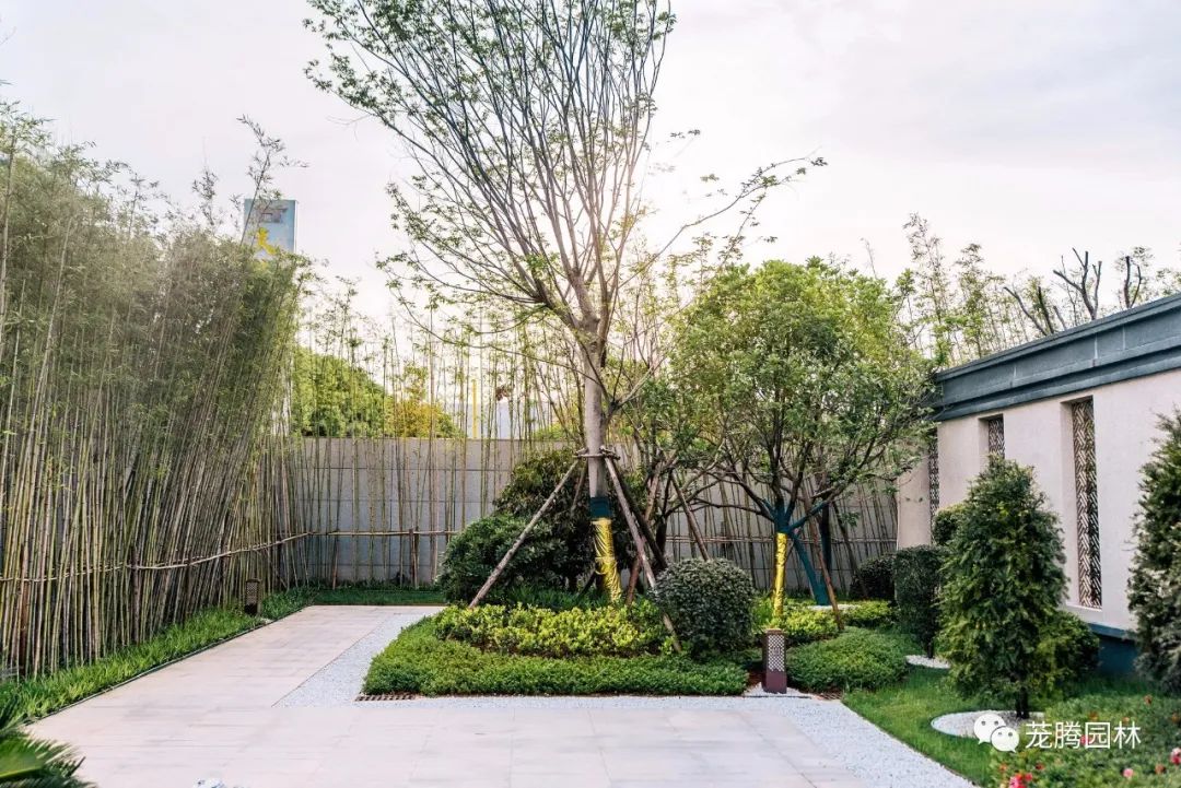 新余天麓玖号府(展示区)-35