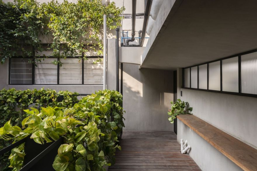 Pachuca 81 建筑改造丨墨西哥墨西哥城丨Namikase Studio-11