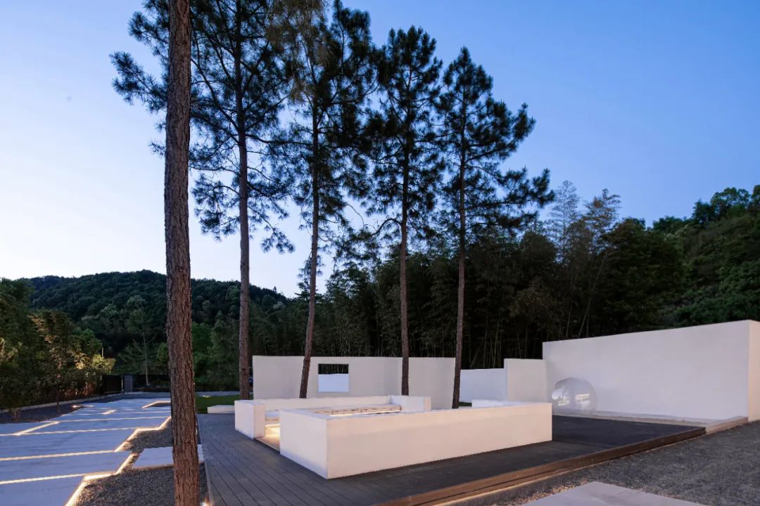 莫干山秘境杉林,尽享自然之美-41