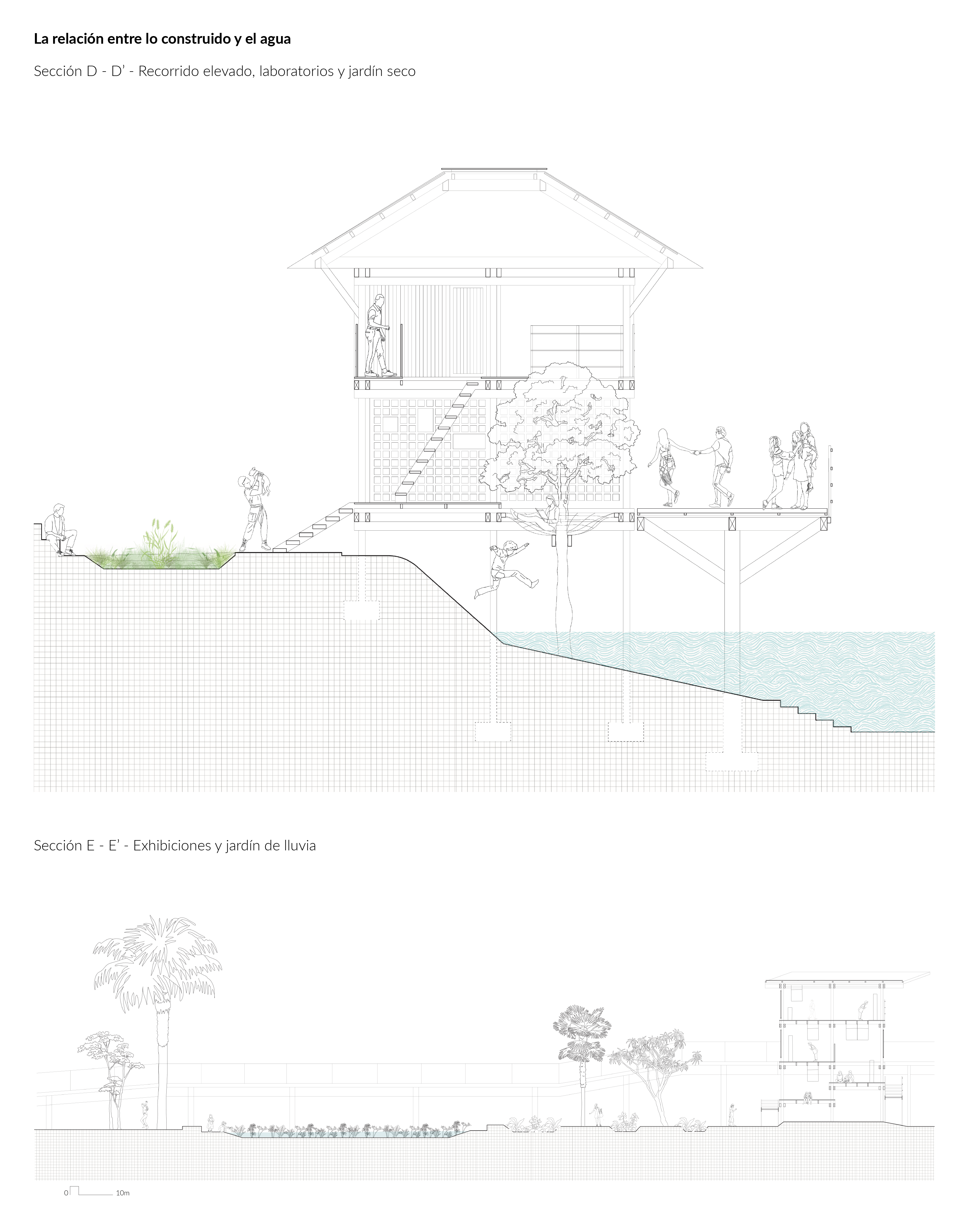 Honda: un ecotono en sinfonía-8