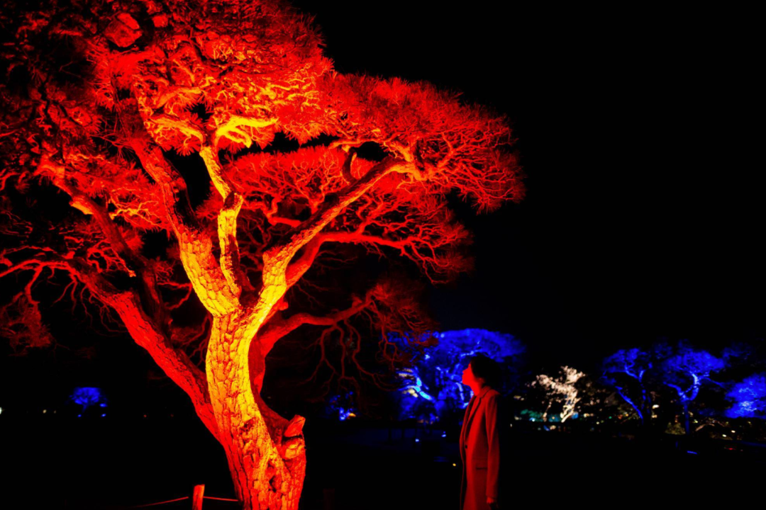 teamLab偕乐园光之祭丨日本-65