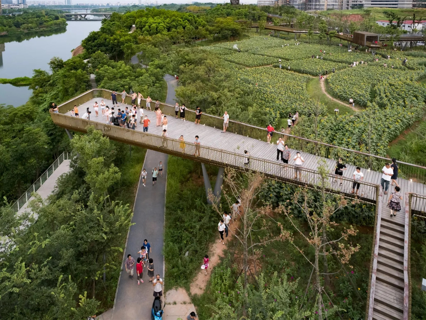 衢州鹿鸣公园丨中国衢州丨土人设计-3