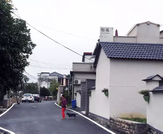 一家3口逃离都市，包下30亩地爆改老房子，有人开车2小时只为在这睡一觉-9