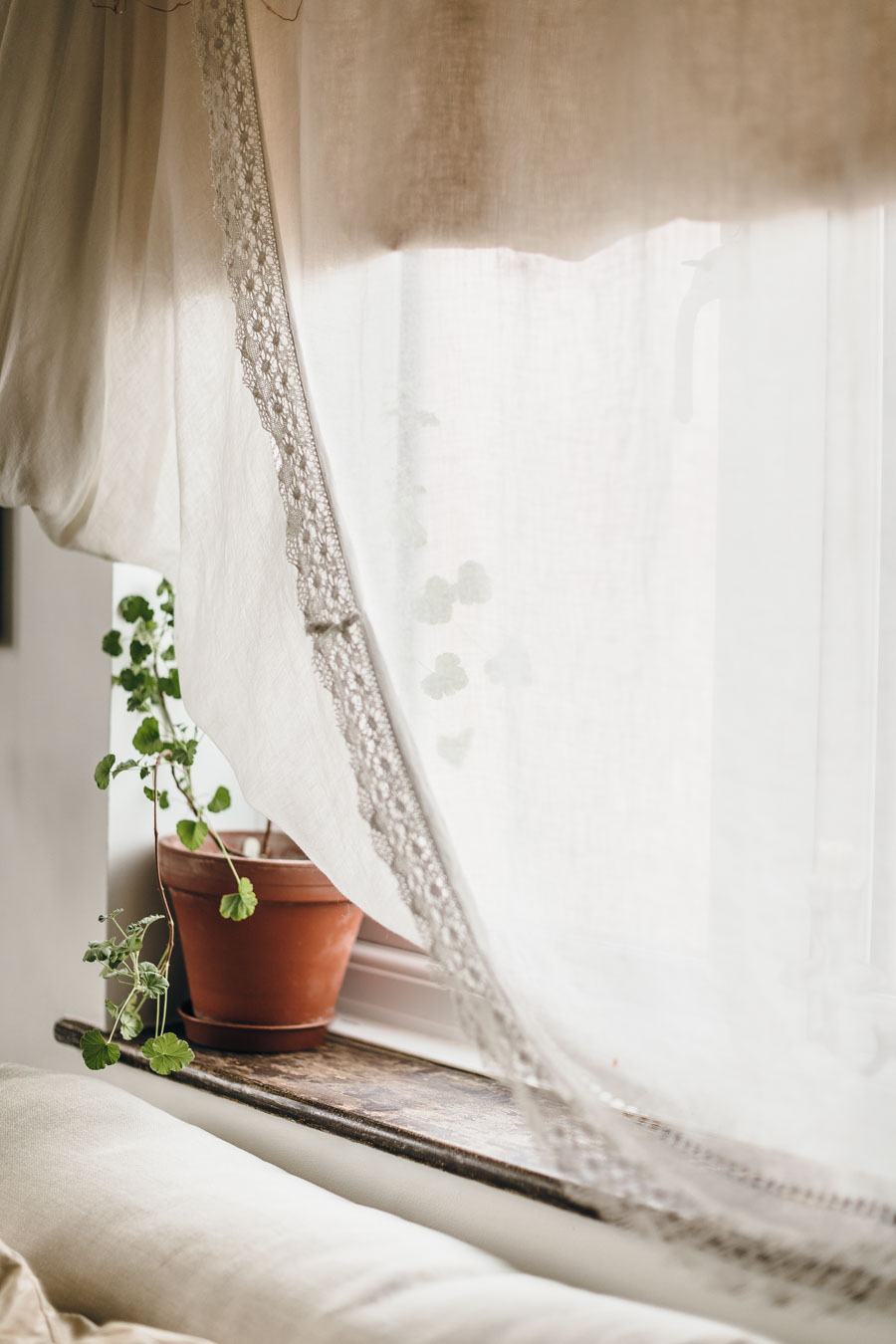 RENOVATION STORIES - A PALER LIVING SPACE - Lobster and Swan-9