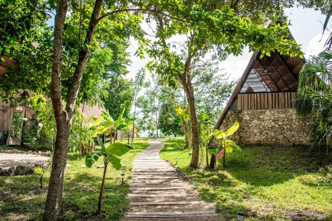 400m²墨西哥 Azul nomeolvides 度假屋 | 生物气候建筑与自然的和谐共生-31