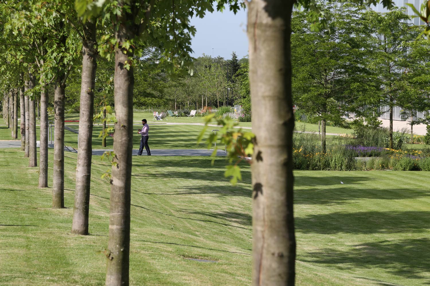 天空英国总部 | 绿色生态的办公环境-20