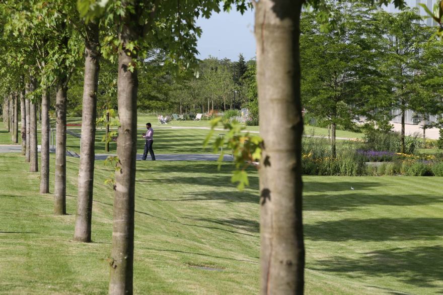 天空英国总部 | 绿色生态的办公环境-20